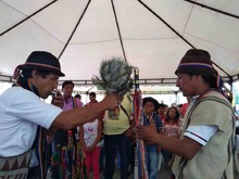 Cabildos indígenas Inga y Yanacona tienen nuevos gobiernos locales 1