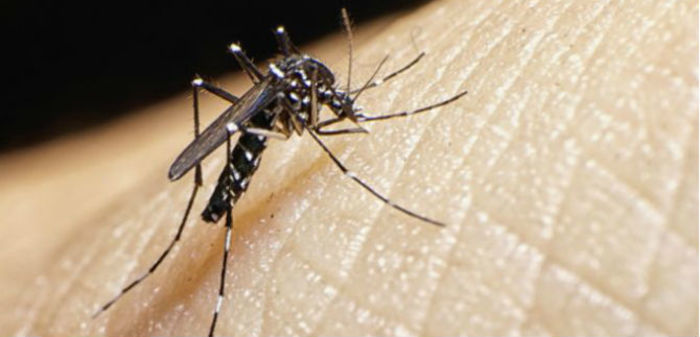 Virus del   Zika en Cali, desciende sustancialmente