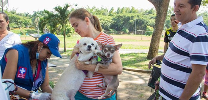 Mascotas de la Comuna 17 fueron vacunadas en jornada de la Secretaría de Salud