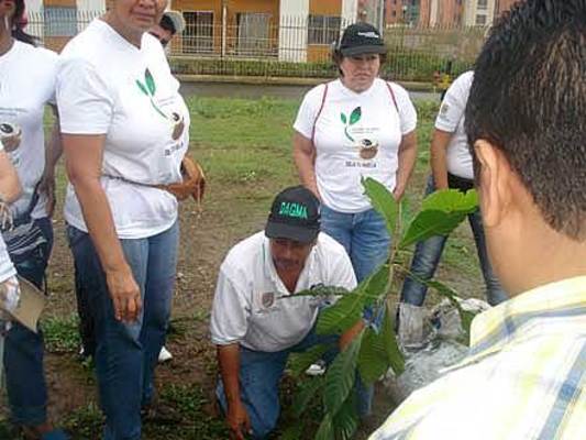 Guardas Cívicos apoyan campaña “Siembra un árbol, siembra una vida”