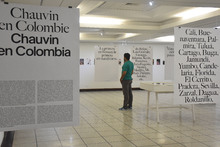 Exposiciones Reflexiones y Guillaume Chauvin en Colombie