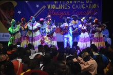 Zonales Violines Caucanos Santander de Quilichao.