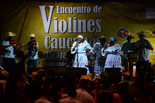 Zonales Violines Caucanos Santander de Quilichao.