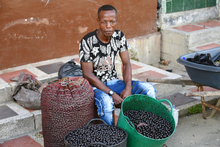 Naidí: el “súper fruto” que debes probar en Timbiquí