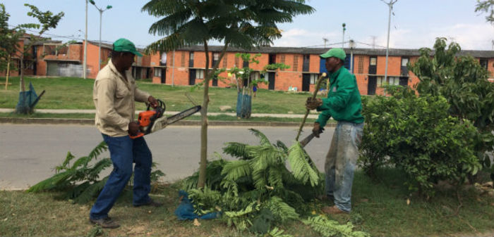 Dagma lideró remoción  de escombros y siembra de árboles en la minga ambiental de la comuna 21