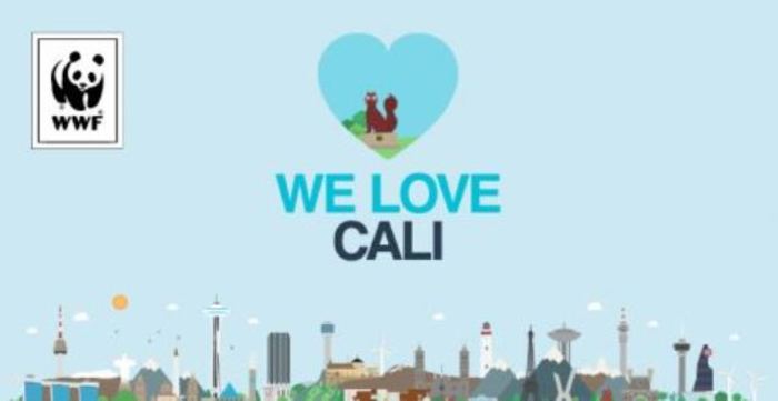 Cali logró la segunda mejor votación en We Love Cities
