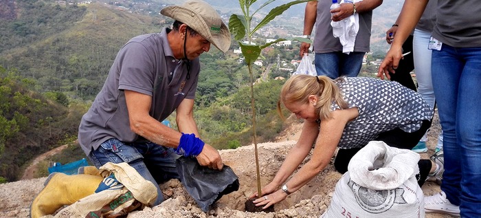 Fundación de Gustavo Yacamán, Celsia y el Dagma sembrarán mañana 10.000 árboles en zona de Meléndez 