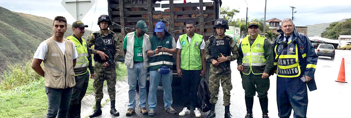 Operativos de control al tráfico ilegal de madera en km 7, deja decomisos preventivos