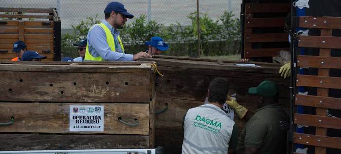 Dagma rehabilitó 60 animales silvestres que fueron liberados en la Costa Atlántica