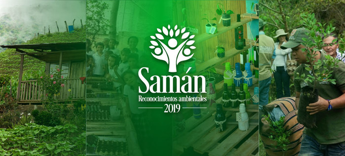 Reconocimientos Samán: apuesta ambiental de la Alcaldía de Cali por la construcción de tejido social