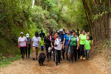 Rodeados de naturaleza los caleños recorrieron los senderos que atraviesa la caminata gratuita ‘ruta Pance’