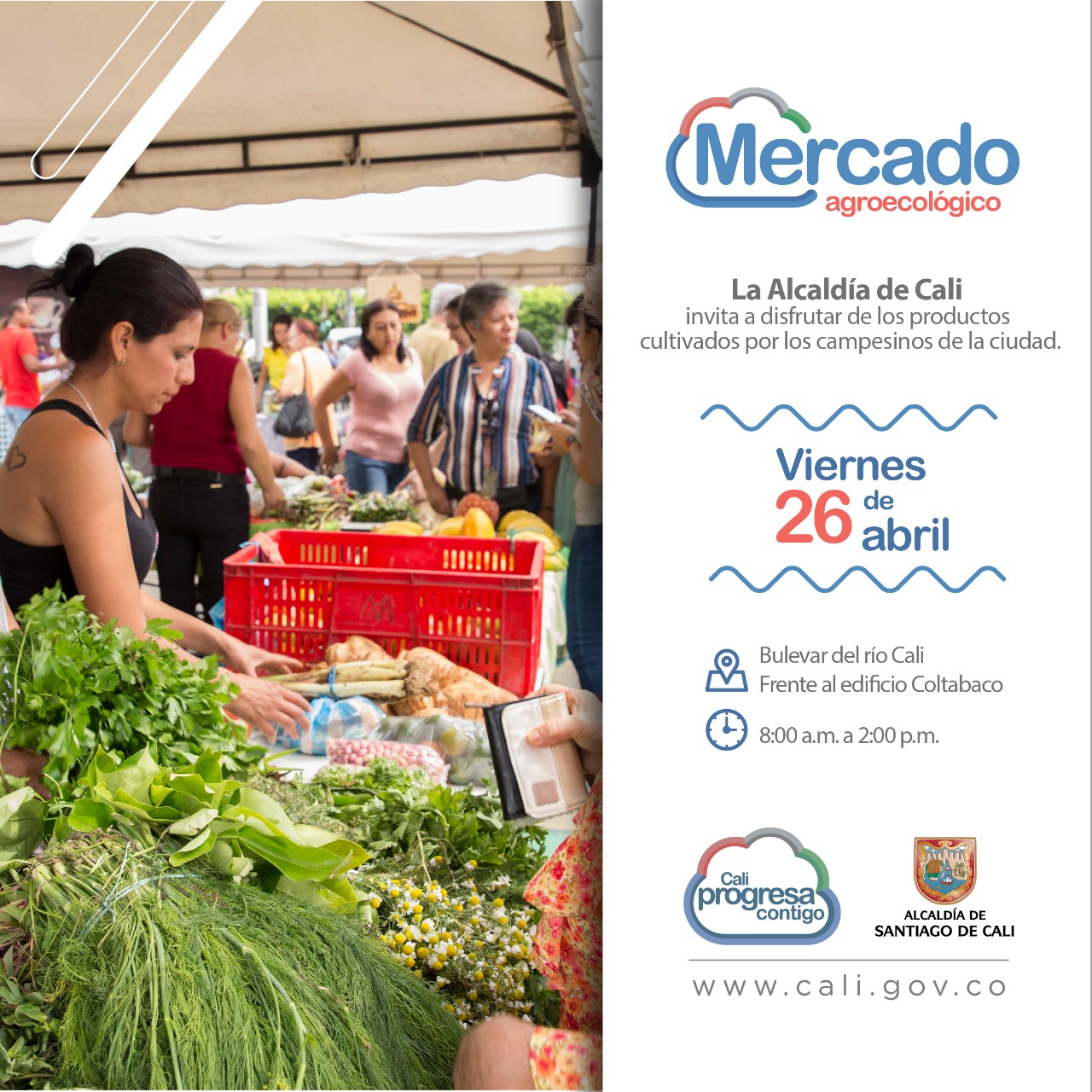 Regresa el Mercado Agroecológico en el centro de la ciudad