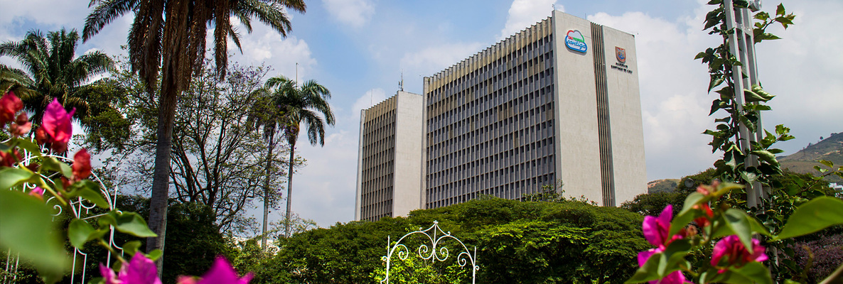 Departamento de Administrativo de Desarrollo e Innovación Institucional