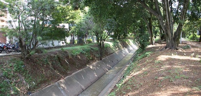 Autoridades caleñas retiran árboles caídos sobre el río Cañaveralejo para evitar inundaciones