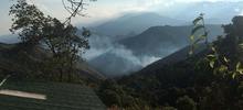 Gracias a su experiencia, bomberos de Cali apagaron incendio forestal en La Castilla 