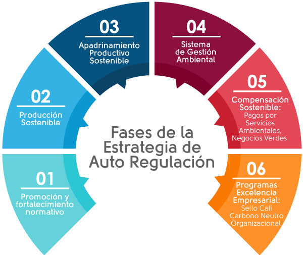 Grafico auto regulacion