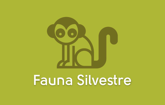 Fauna silvestre Fauna silvestre