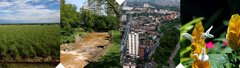 Alcald?a de Cali - Geograf?a Cali