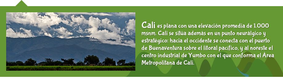 Alcald?a de Cali - Geograf?a de Cali