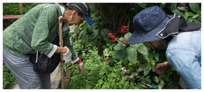 Ecobarrios: transformación urbana de Cali