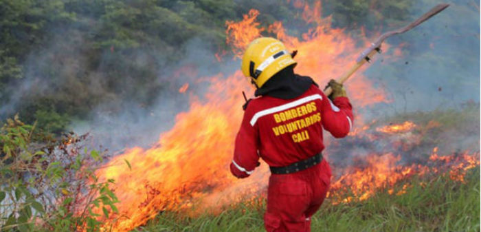 Cali se fortalece en manejo de incendios forestales