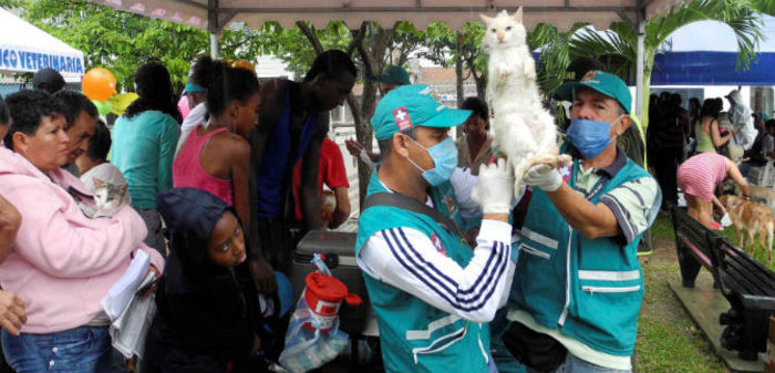 Centro de Zoonosis realizará brigada de salud animal en la comuna 15, este jueves