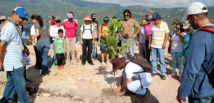 Se adelanta campaña con la comunidad, para abonar árboles en el Cerro de la Bandera