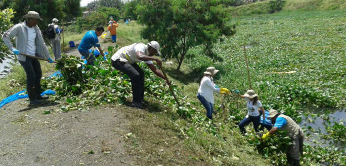 Humedal Charco Azul recuperó su espejo de agua