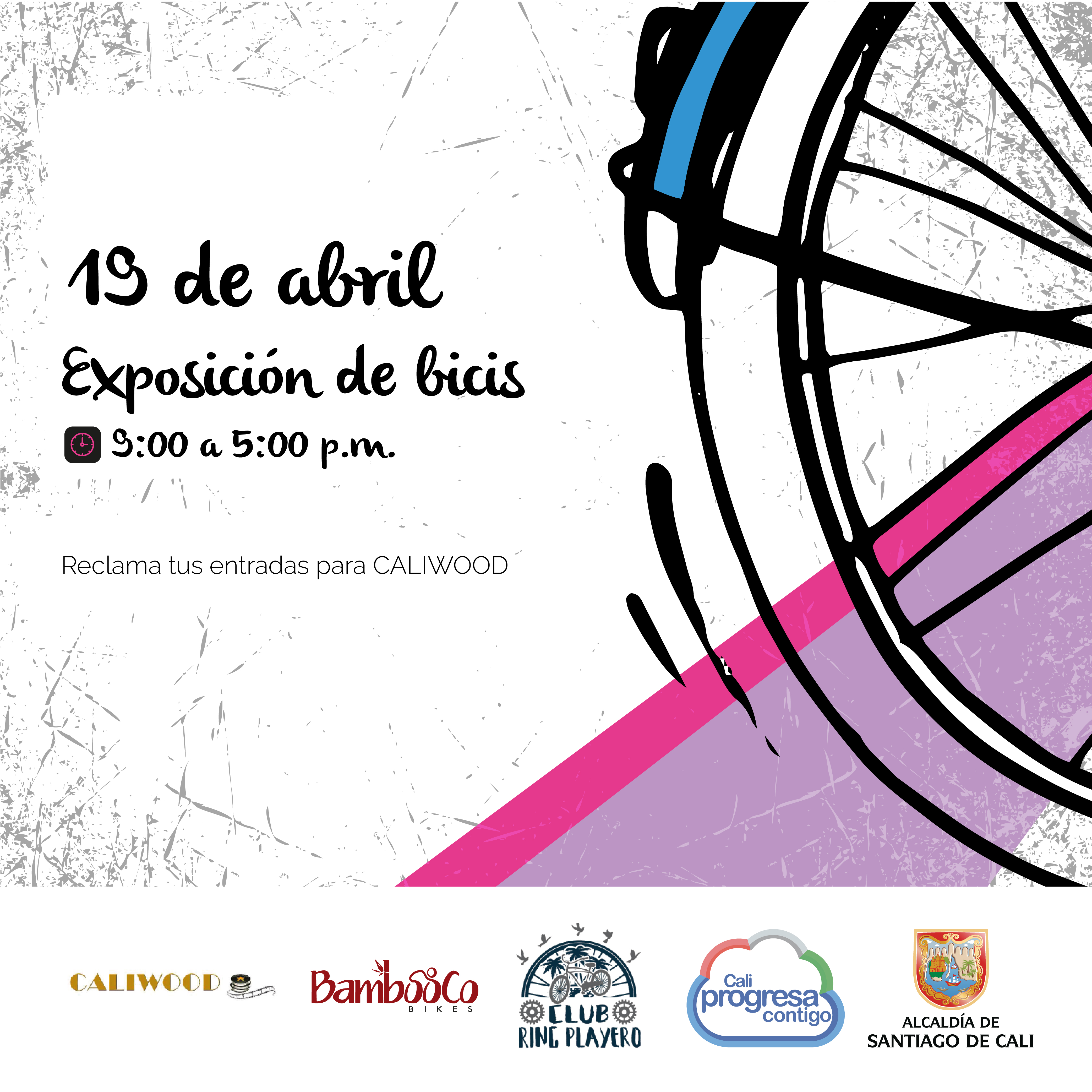 Conozca las actividades con las que Cali celebrará el Día Mundial de la Bicicleta