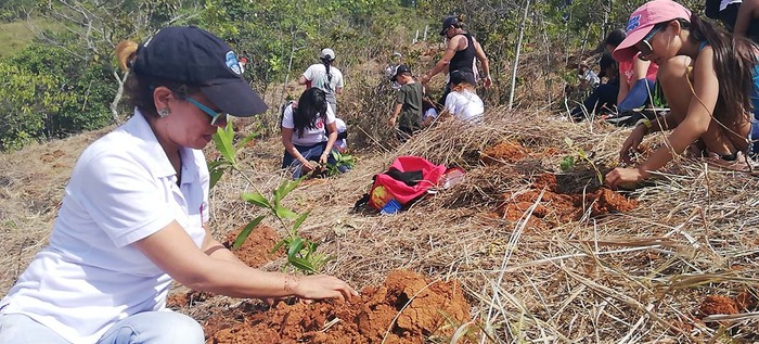 Cerro de La Campana cobra nueva vida con la siembra de 5.500 árboles