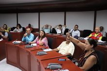 Elegidos delegados de las veedurías ciudadanas ante el Consejo Municipal de Participación de Cali