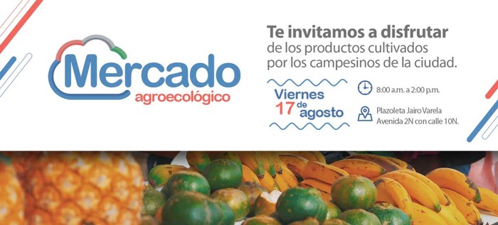 Este viernes 17 de agosto vuelve el Mercado Agroecológico