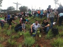  1.000 árboles más fueron sembrados en el cerro de Cristo Rey