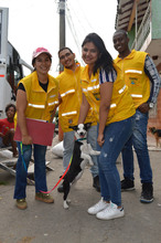 Jornada  de  esterilización gratuita para caninos y felinos del área de renovación urbana