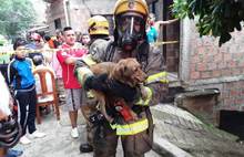 Gestión del Riesgo entrega ayuda humanitaria a afectados por incendio estructural