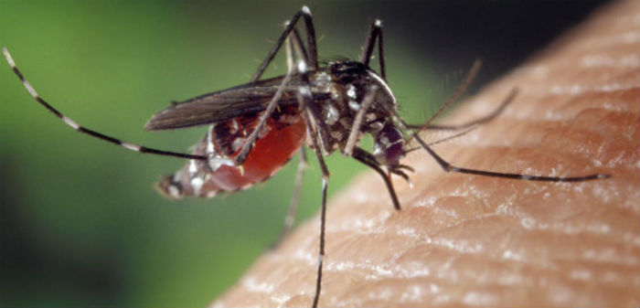Cárcel de Villahermosa será declarada libre de zancudo Aedes