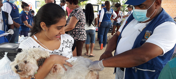 Administración Municipal, realizará Jornada de Salud Animal en la Comuna 6