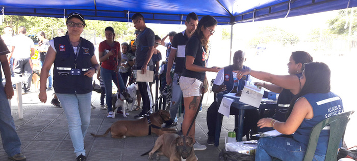 Alcaldía de Santiago de Cali realizará registro para animales considerados potencialmente peligrosos en la comuna 13
