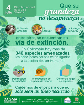 Día Internacional de la Vida Silvestre