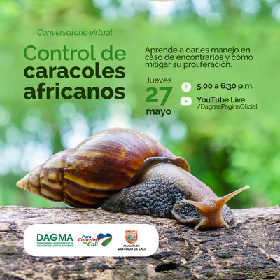 Manejo y Control de caracol africano