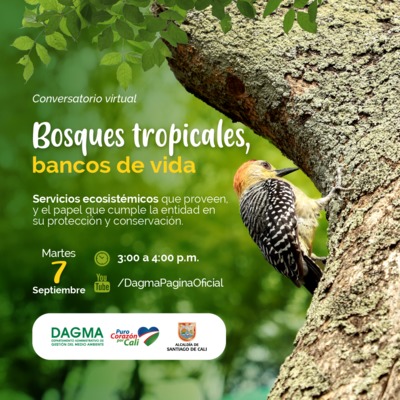 Conversatorio ambiental: Bosques tropicales, bancos de vida