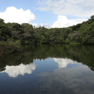 Dagma rechaza actos contra el ecosistema en ecoparque Las Garzas