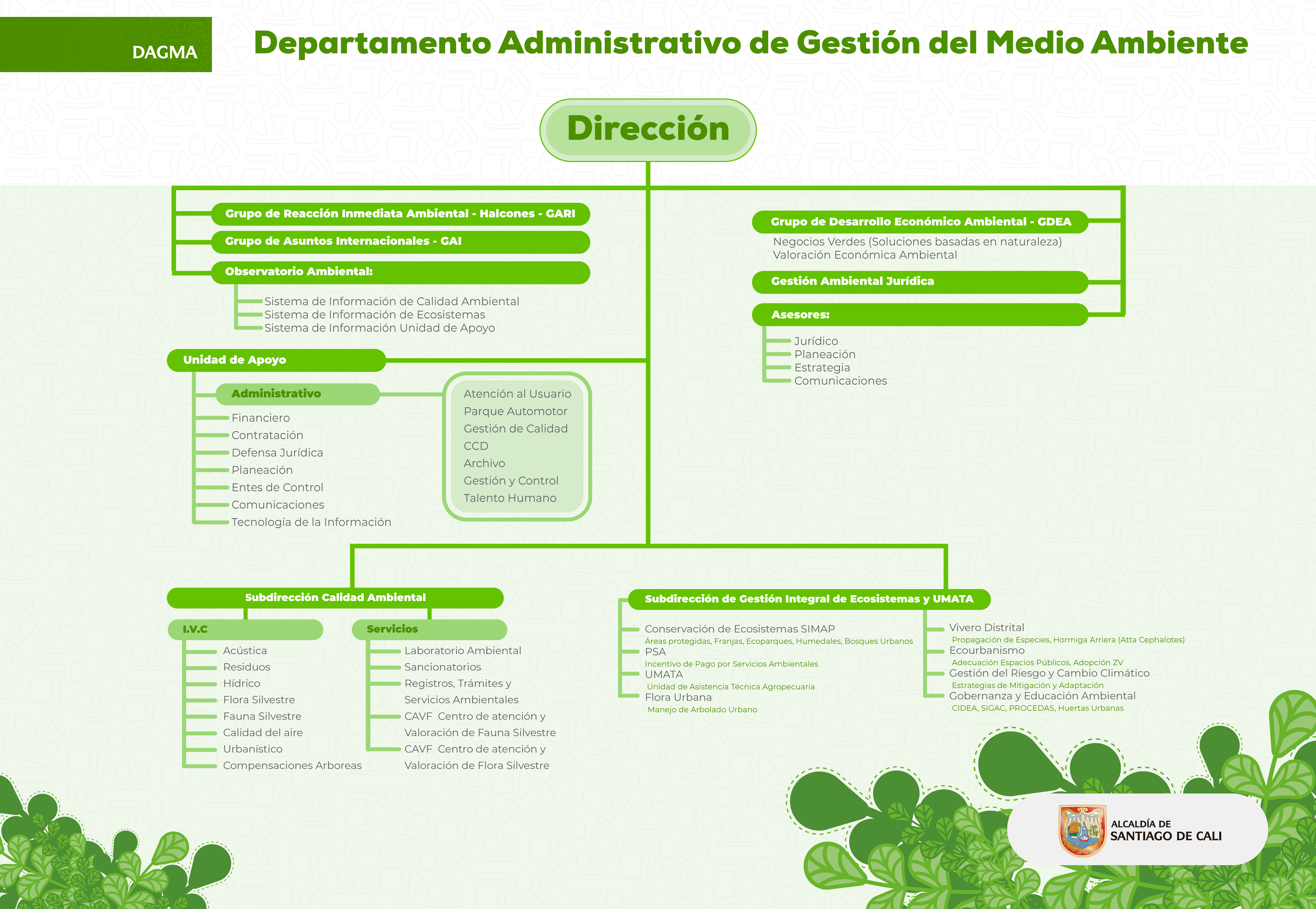 Organigrama del Departamento Administrativo de Gestión del Medio Ambiente