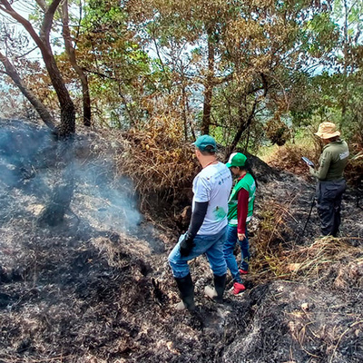 Trabajo en equipo permitió controlar incendio forestal en la zona de Pance