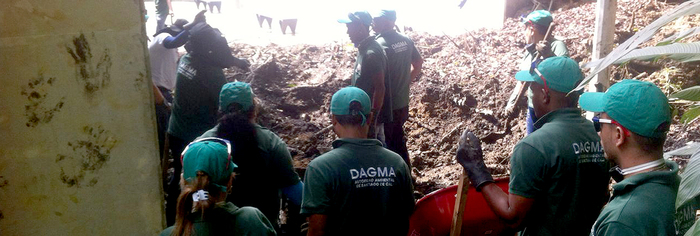 Dagma realiza remoción de material vegetal tras derrumbe en el museo La Tertulia