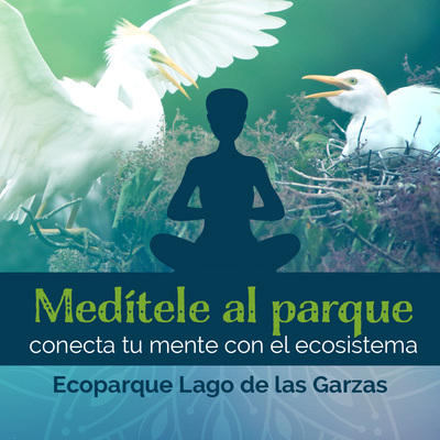 DAGMA invita a no confinar la mente y conectarla con el ecosistema a través de la meditación