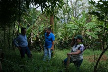 Umata entrega insumos en zona rural por más de 900 millones de pesos