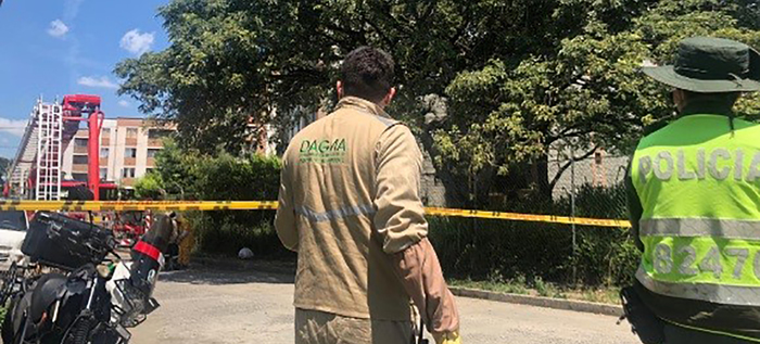 DAGMA rescató colmena en árbol del barrio Yira Castro
