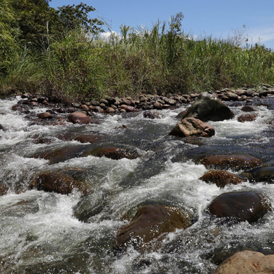 El río Pance y su parque ambiental, grandes aportantes hídricos
