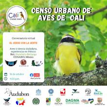 Oiga, mire y vea aves: participa al VI Censo Urbano de Aves.